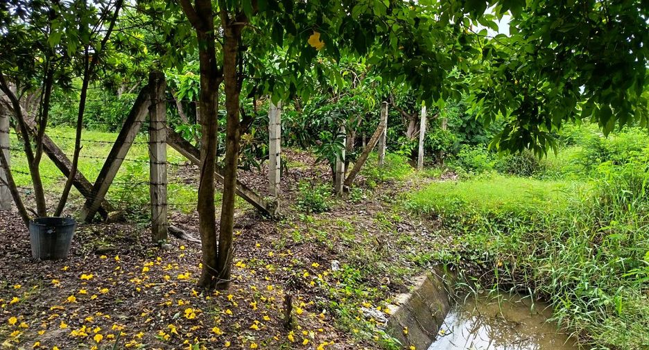 For sale land in Mueang Suphanburi, Suphan Buri