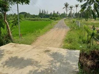 ขาย ที่ดิน ใน ท่ายาง, เพชรบุรี