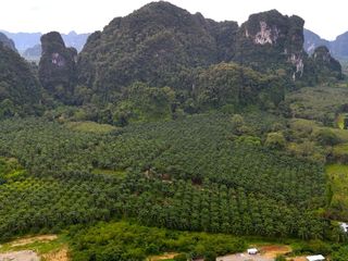 À louer terrain à Mueang Krabi, Krabi