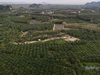 À louer terrain à Mueang Krabi, Krabi