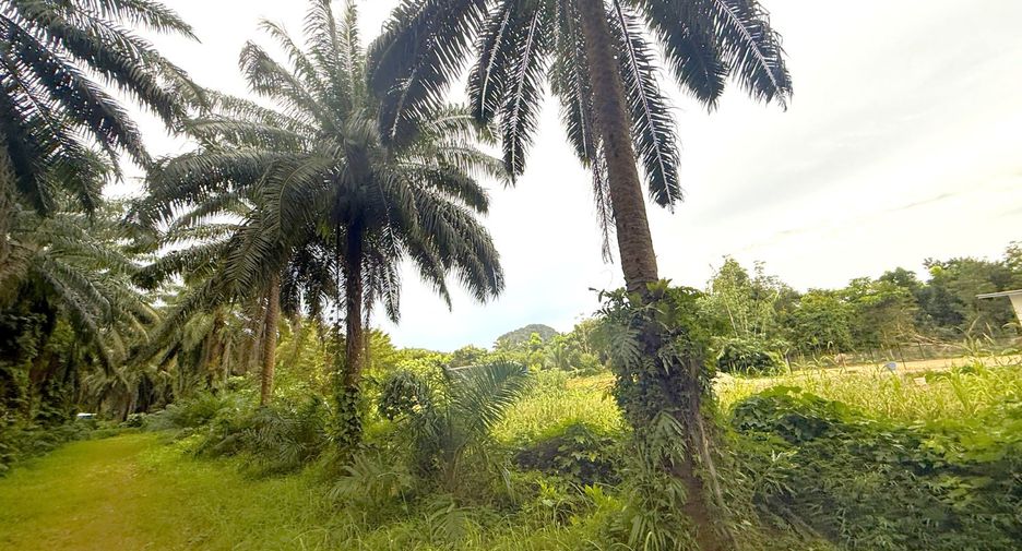 For rent land in Mueang Krabi, Krabi