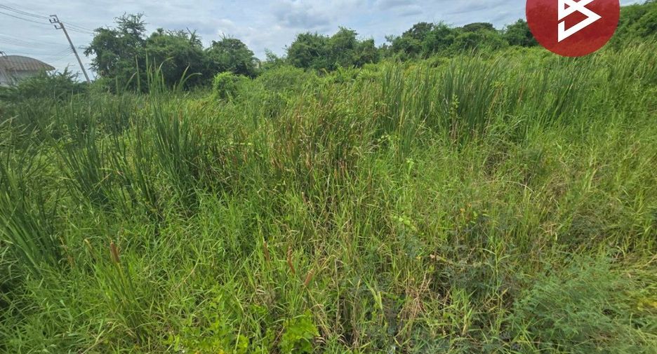 For sale land in Phra Samut Chedi, Samut Prakan