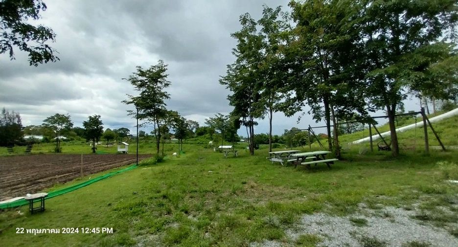 For rent and for sale land in Pak Chong, Nakhon Ratchasima