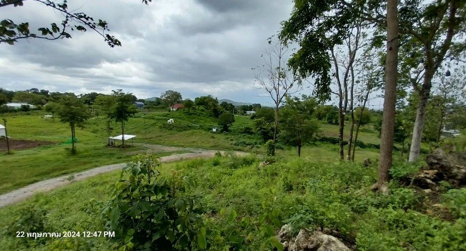 For rent and for sale land in Pak Chong, Nakhon Ratchasima