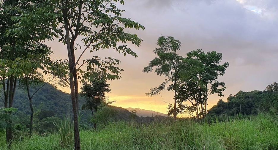 For rent and for sale land in Pak Chong, Nakhon Ratchasima