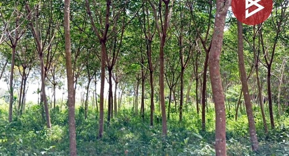 For sale land in Khao Saming, Trat