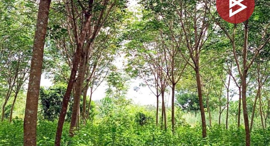 For sale land in Khao Saming, Trat