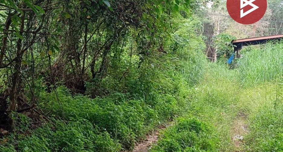 For sale land in Khao Saming, Trat