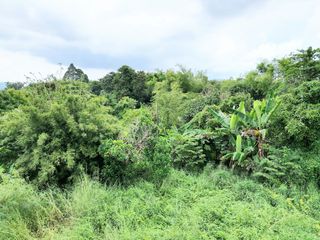 For sale land in Mueang Rayong, Rayong