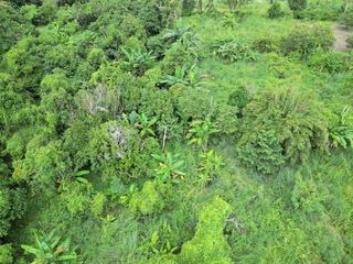 For sale land in Mueang Rayong, Rayong