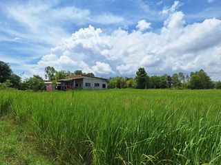 出售 土地 在 Mueang Udon Thani, Udon Thani