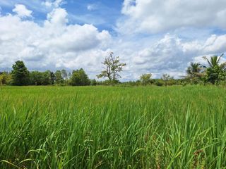 出售 土地 在 Mueang Udon Thani, Udon Thani