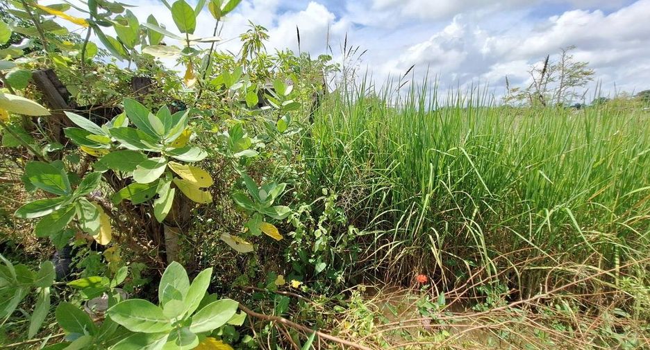 For sale land in Mueang Udon Thani, Udon Thani