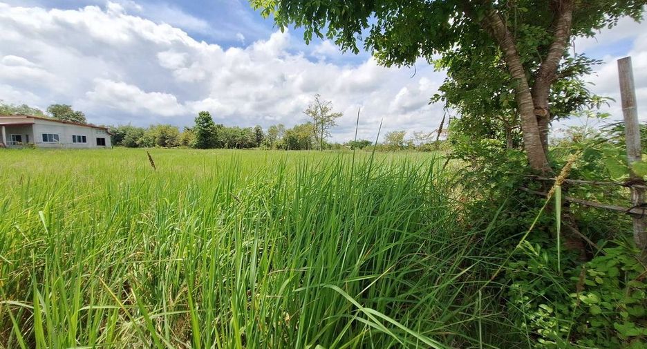 For sale land in Mueang Udon Thani, Udon Thani