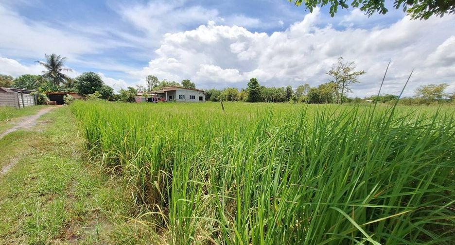 For sale land in Mueang Udon Thani, Udon Thani