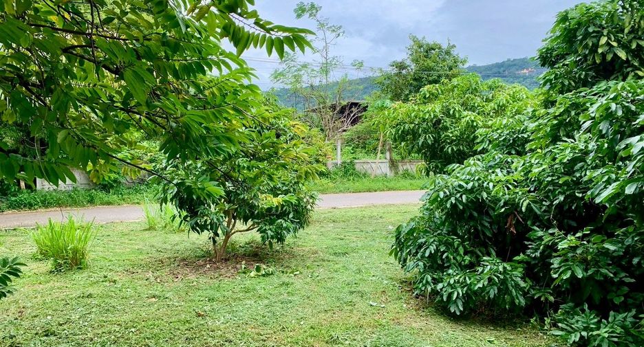 For sale land in Nong Sung, Mukdahan