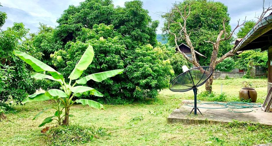 For sale land in Nong Sung, Mukdahan