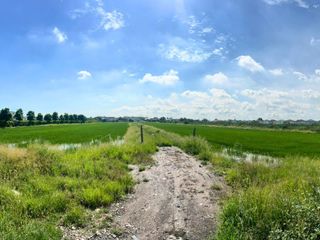 出售 土地 在 Prawet, 曼谷