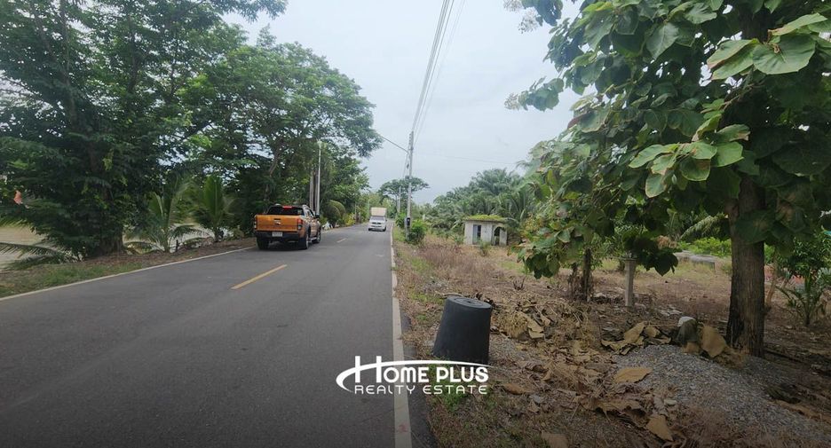For sale land in Nong Suea, Pathum Thani