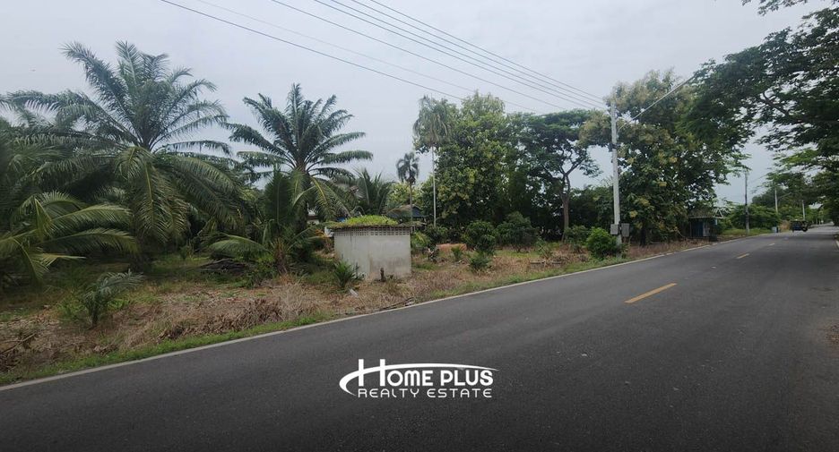 For sale land in Nong Suea, Pathum Thani