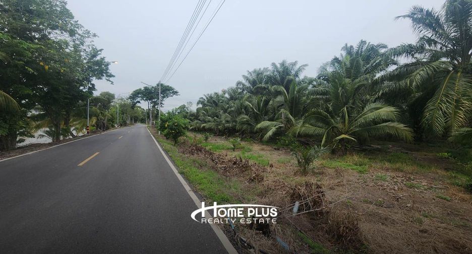 For sale land in Nong Suea, Pathum Thani