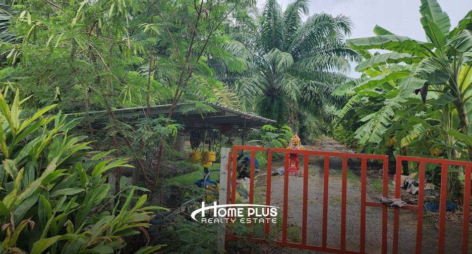 For sale land in Nong Suea, Pathum Thani