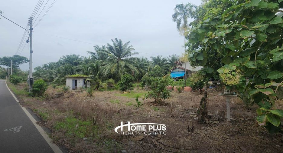 For sale land in Nong Suea, Pathum Thani