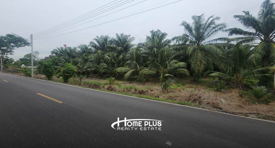 For sale land in Nong Suea, Pathum Thani