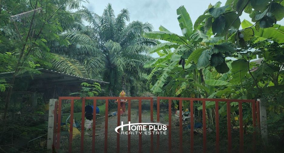 For sale land in Nong Suea, Pathum Thani