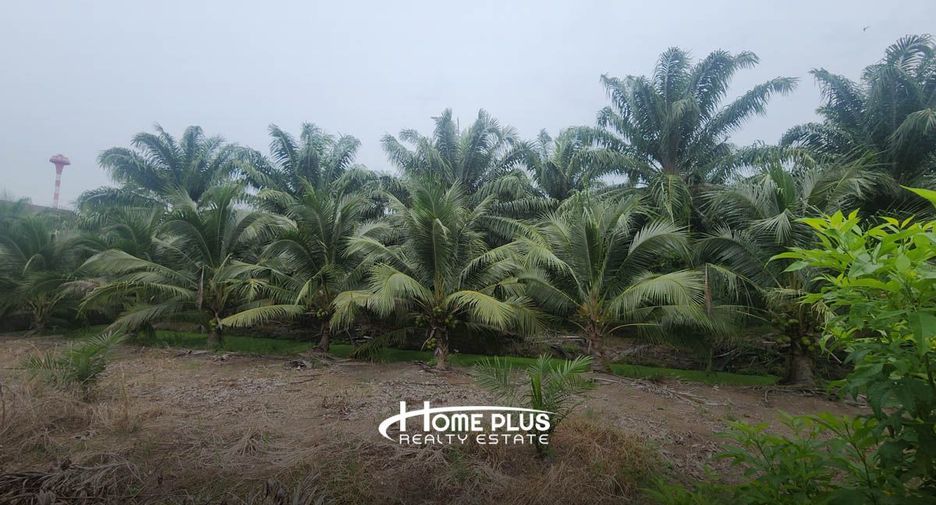 For sale land in Nong Suea, Pathum Thani