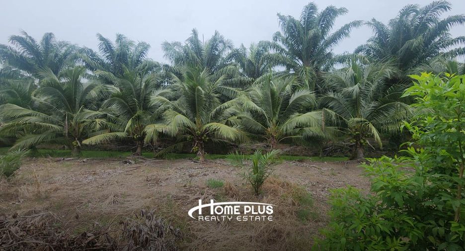 For sale land in Nong Suea, Pathum Thani