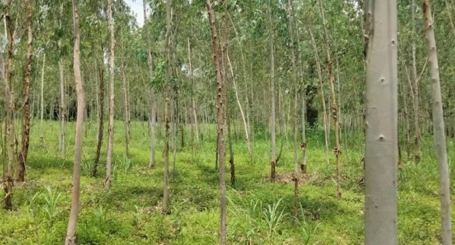 出售 土地 在 Mueang Mukdahan, Mukdahan