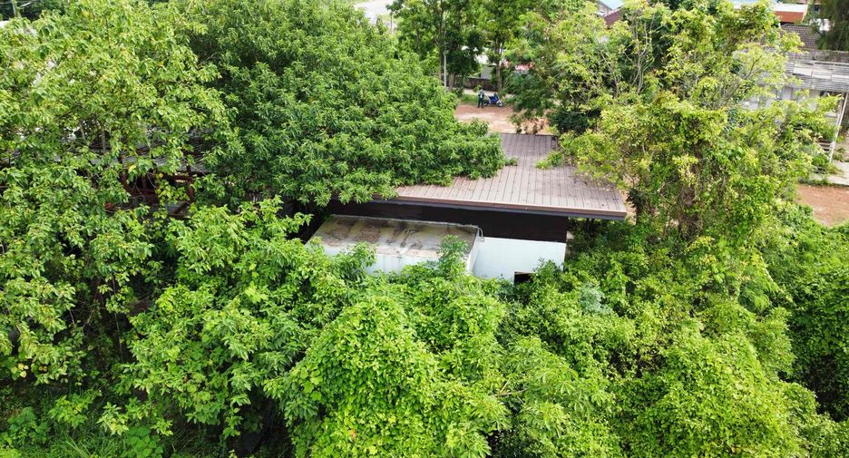 For sale 3 bedrooms retail Space in Mueang Nong Khai, Nong Khai