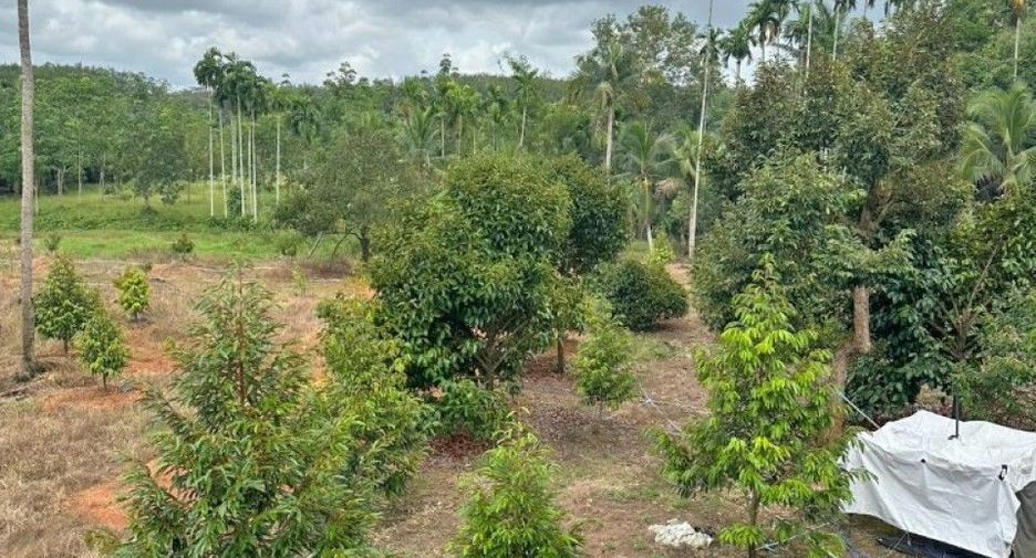For sale land in Khao Saming, Trat