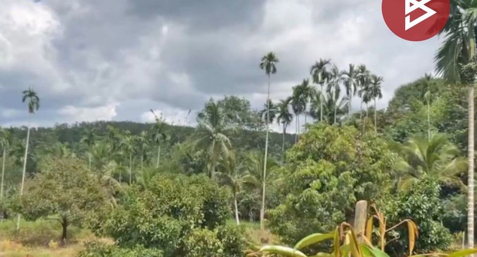 For sale land in Khao Saming, Trat