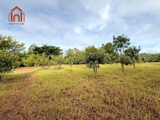 For sale land in Mueang Lampang, Lampang