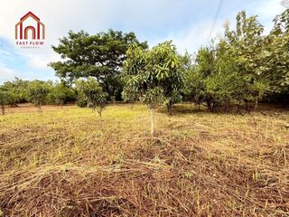 For sale land in Mueang Lampang, Lampang