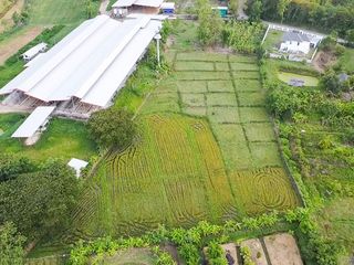 出售 土地 在 Mae On, Chiang Mai