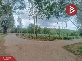 ขาย ที่ดิน ใน เมืองตราด, ตราด