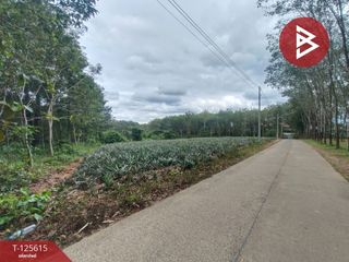 ขาย ที่ดิน ใน เมืองตราด, ตราด