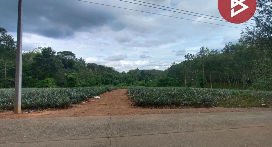 For sale land in Mueang Trat, Trat