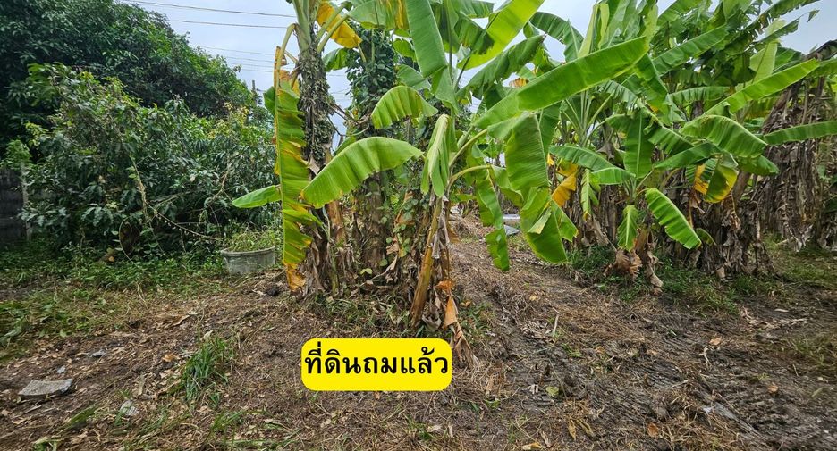 出售 土地 在 Bang Yai, Nonthaburi