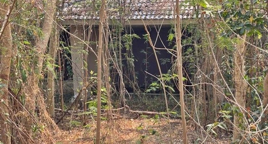 出售 1 卧室 独立屋 在 Samoeng, Chiang Mai