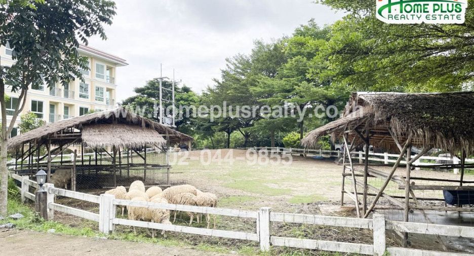 For sale 1 bed condo in Pak Chong, Nakhon Ratchasima