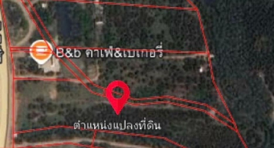 For sale land in Thoeng, Chiang Rai