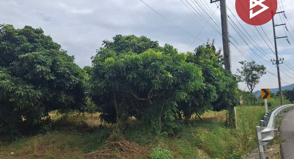 For sale land in Thoeng, Chiang Rai