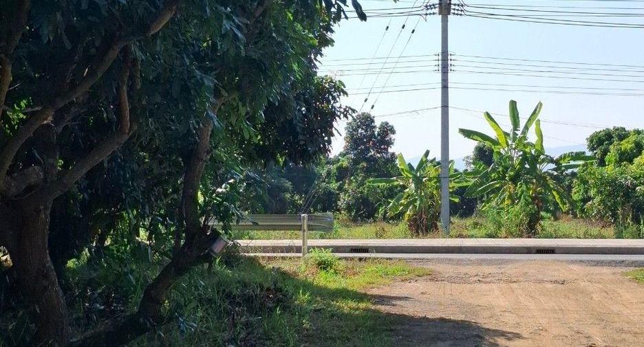 For sale land in Thoeng, Chiang Rai