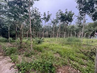 出售 土地 在 Mueang Krabi, Krabi