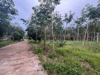 出售 土地 在 Mueang Krabi, Krabi
