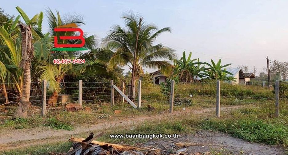 Terreno en venta en Phan, Chiang Rai